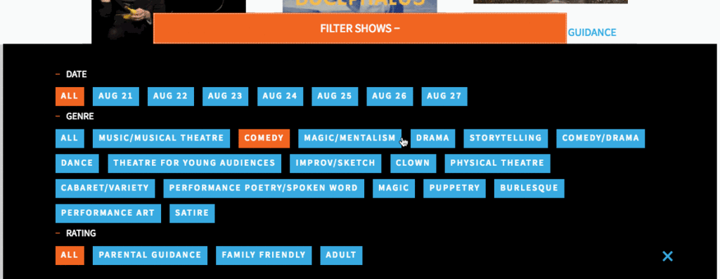 Custom slide up filter drawer for wordpress